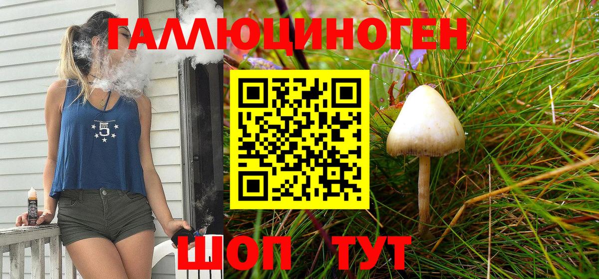 Псилоцибиновые грибы Cubensis Обь
