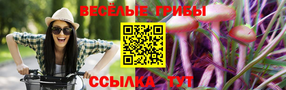 Галлюциногенные грибы мицелий  Вход с VPN  Обь  Псилоцибиновые грибы мицелий 